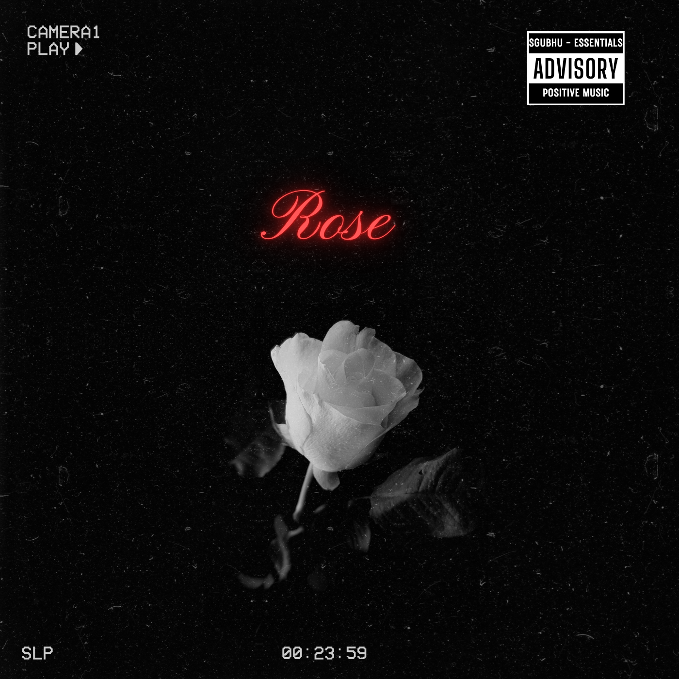Black and White Minimalist Photocentric Rose Hip-Hop Album Cover_20250329_134117_0000.png